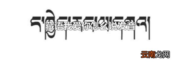 藏语我爱你怎么说发音