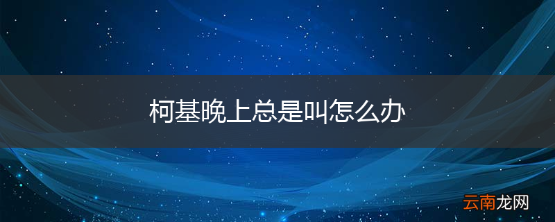 柯基晚上总是叫怎么办
