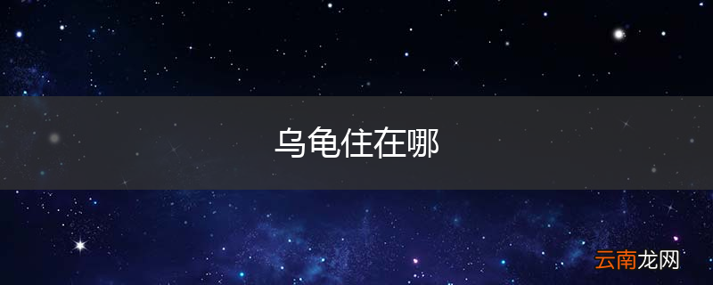 乌龟住在哪