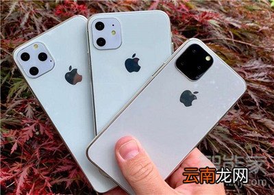 iphone11电池怎么保养