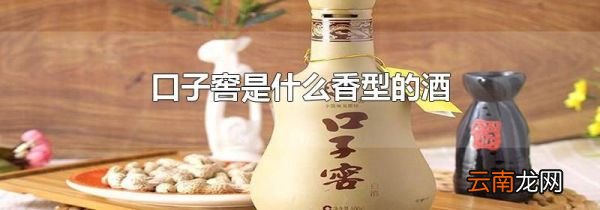 口子窖是什么香型的酒