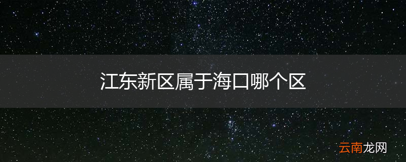 江东新区属于海口哪个区