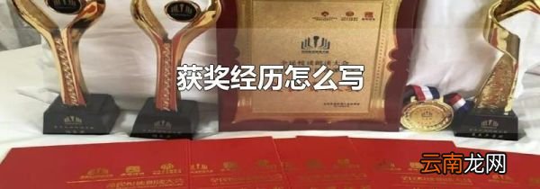 获奖经历怎么写