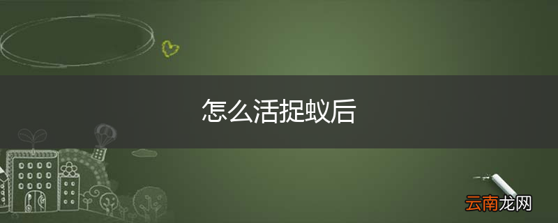 怎么活捉蚁后