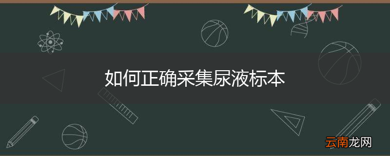 如何正确采集尿液标本
