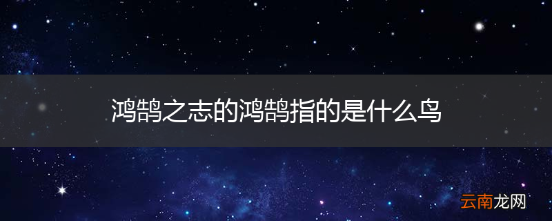 鸿鹄之志的鸿鹄指的是什么鸟
