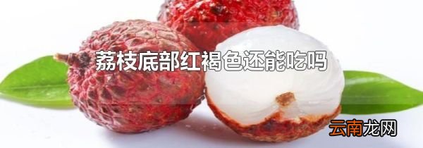 荔枝底部红褐色还能吃吗