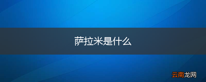 萨拉米是什么