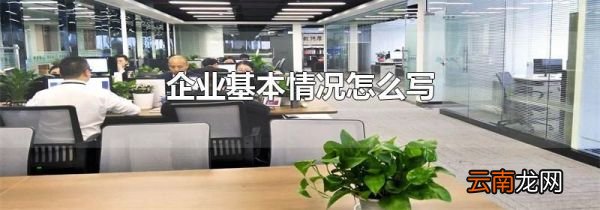 企业基本情况怎么写