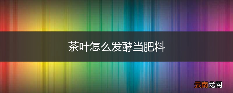 茶叶怎么发酵当肥料