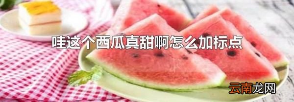 哇这个西瓜真甜啊怎么加标点