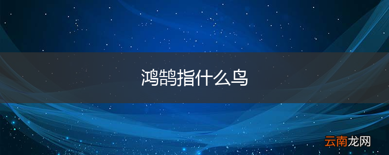 鸿鹄指什么鸟