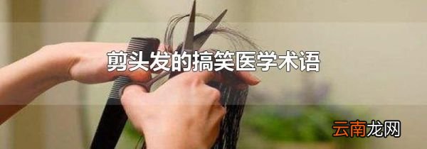 剪头发的搞笑医学术语