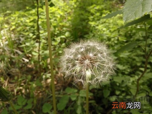 红米Note3和魅蓝Note3哪个好 红米Note3和魅蓝Note3详细图文对比