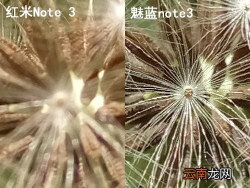 红米Note3和魅蓝Note3哪个好 红米Note3和魅蓝Note3详细图文对比