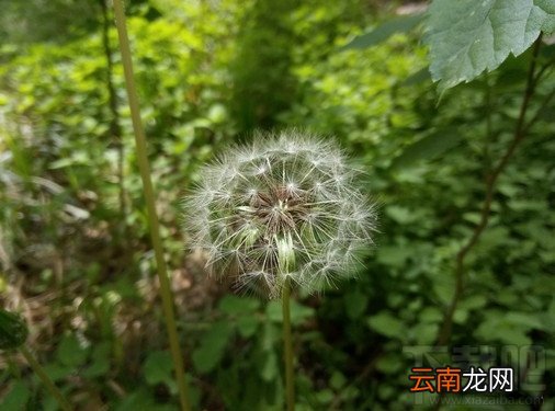 红米Note3和魅蓝Note3哪个好 红米Note3和魅蓝Note3详细图文对比