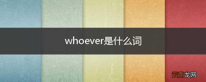 whoever是什么词