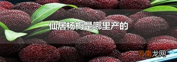 仙居杨梅是哪里产的