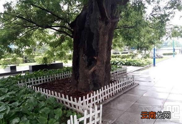 魅蓝3S怎么样？魅蓝3S手机好不好？魅蓝3s介绍