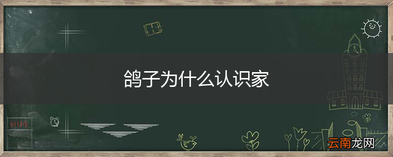鸽子为什么认识家