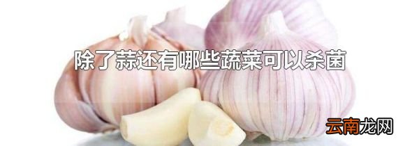 除了蒜还有哪些蔬菜可以杀菌