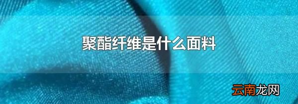 聚酯纤维是什么面料