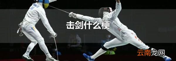 击剑什么梗