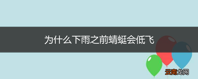 为什么下雨之前蜻蜓会低飞