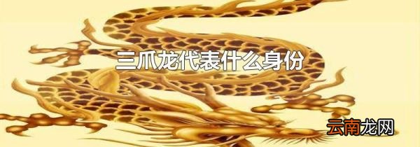 三爪龙代表什么身份
