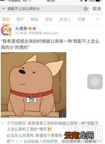 我配不上这么高的分出自哪里？我配不上这么高的分出处