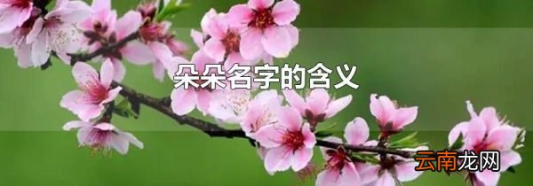 朵朵名字的含义