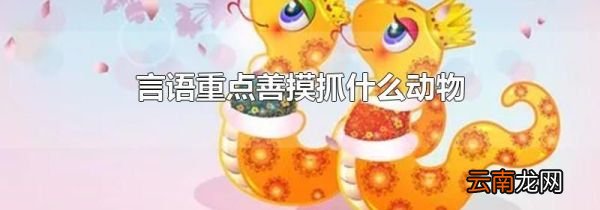 言语重点善摸抓什么动物