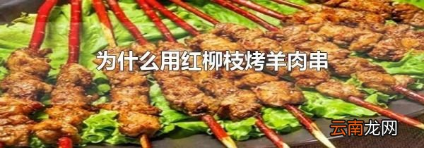 为什么用红柳枝烤羊肉串