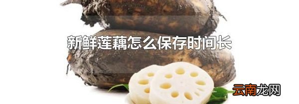 新鲜莲藕怎么保存时间长