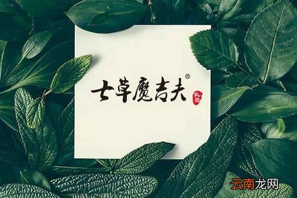 七草魔吉夫的功效与作用七草魔吉夫的禁忌人群