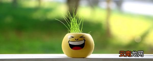 说说心情短语人生感悟 有内涵的说说心情短语大全