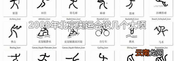2008年北京奥运会设几个大项