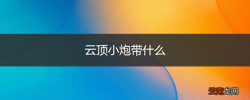 云顶小炮带什么