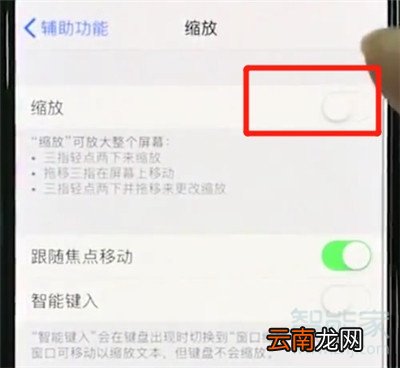 iphone11怎么使用缩放功能