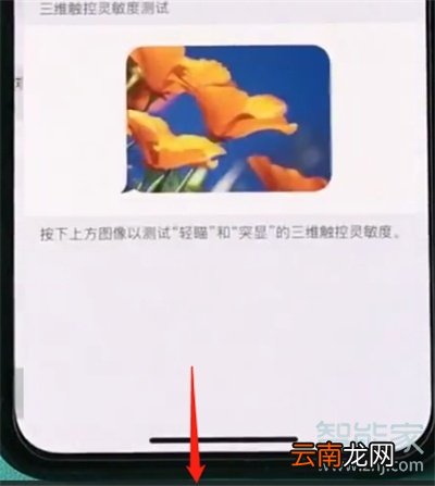 iphone11怎么开启半屏功能