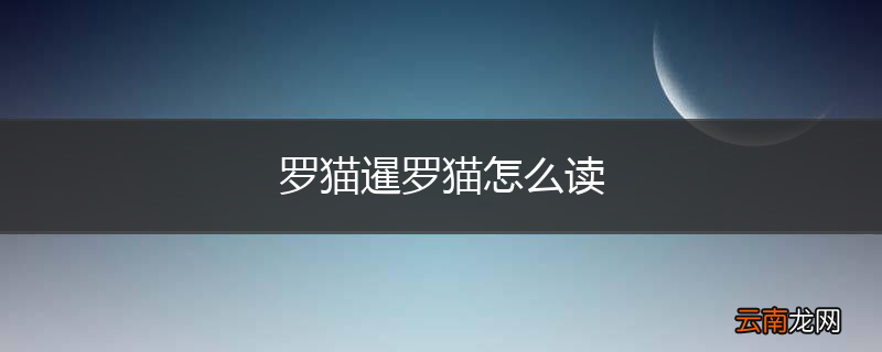 罗猫暹罗猫怎么读