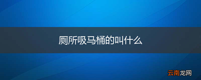 厕所吸马桶的叫什么