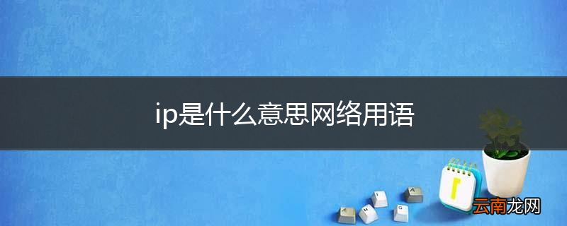 ip是什么意思网络用语