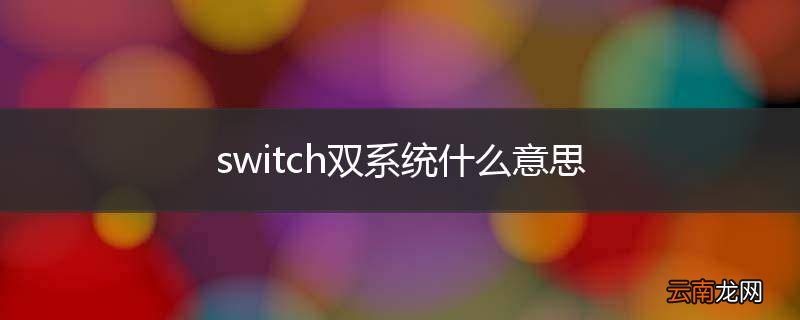 switch双系统什么意思