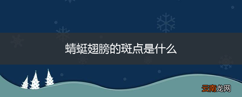 蜻蜓翅膀的斑点是什么