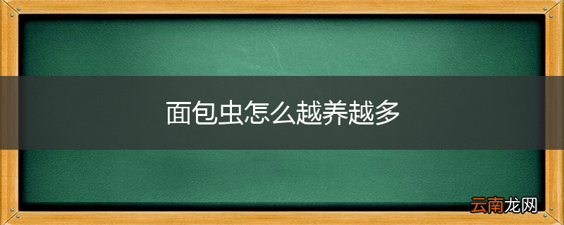 面包虫怎么越养越多