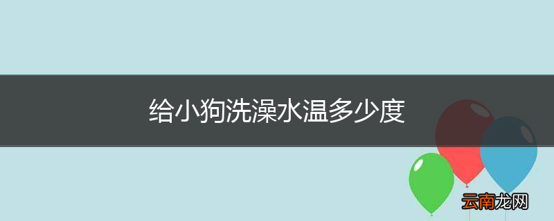 给小狗洗澡水温多少度