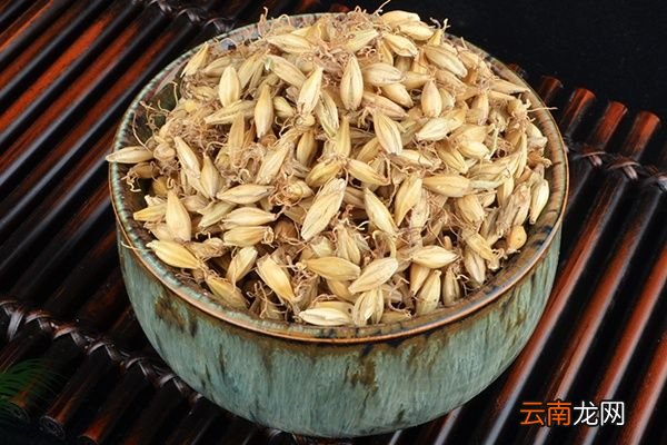 生麦芽的功效与作用 生麦芽的禁忌
