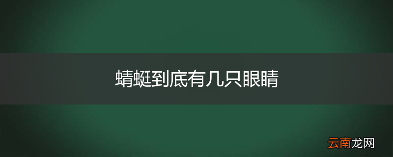 蜻蜓到底有几只眼睛