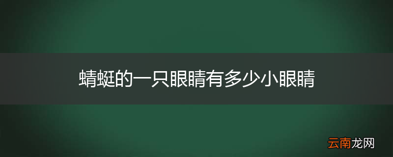 蜻蜓的一只眼睛有多少小眼睛